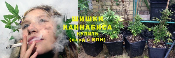 гидра Валуйки