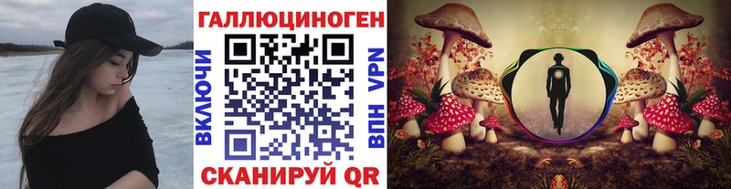 mega ссылка  Апрелевка  Псилоцибиновые грибы Psilocybine cubensis 