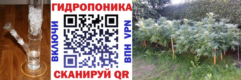 Каннабис сатива  Апрелевка 